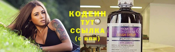 шишки Горнозаводск
