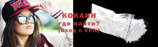 шишки Горнозаводск