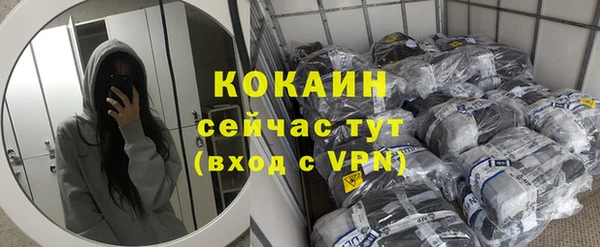 шишки Горнозаводск