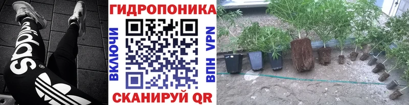 Бошки марихуана LSD WEED  Западная Двина 